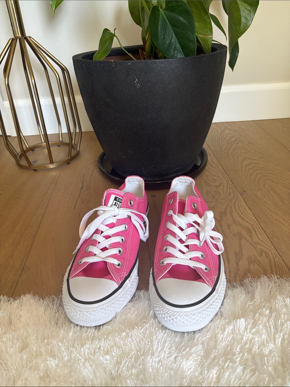 Converse Women’s Hot Pink Low Top Canvas Sneakers